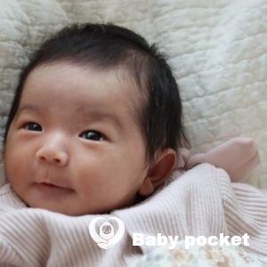 こまちちゃんをお迎えしました