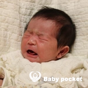 こまちちゃんをお迎えしました