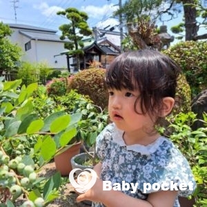 せんかちゃん1歳10ヵ月のご報告