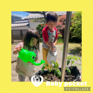 いなさちゃん3歳、かみあり君5歳半になりました