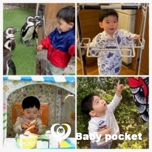 ティガーくん 2歳の誕生日を迎えました