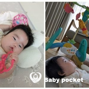 ホットミルクちゃんのお食い初めのご報告