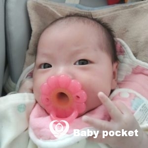 若葉ちゃんをお迎えしました