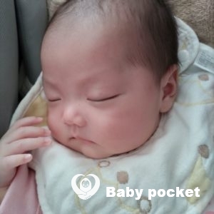 若葉ちゃんをお迎えしました