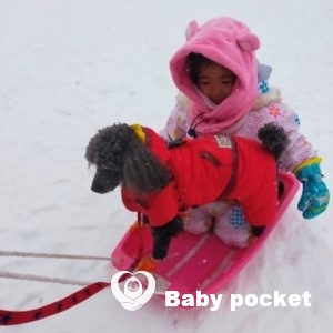 ミファーちゃん 3歳半のご報告