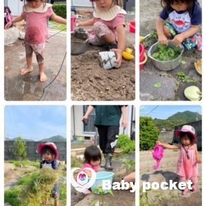 ホルンフェルスちゃん2歳になりました!