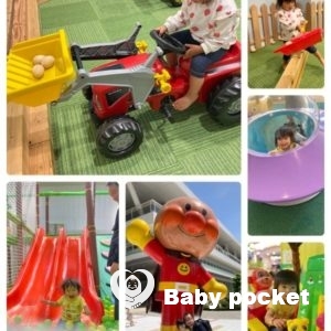 ホルンフェルスちゃん2歳になりました!