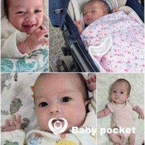 ひまちゃん お宮参りなどのご報告