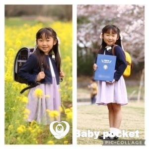 アジサイちゃん 7歳になりました