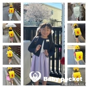 アジサイちゃん 7歳になりました