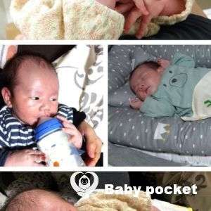 ポキールくんの1ヶ月健診とお宮参りのご報告