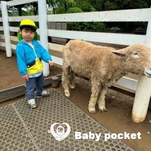 オウカ君の近況報告