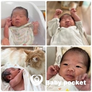 承太郎くんお宮参りのご報告