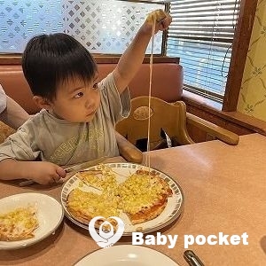 アポロ君 4歳のご報告