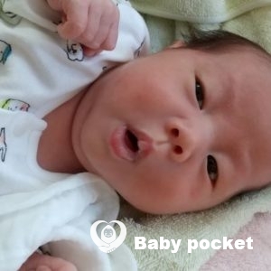 サクラちゃんをお迎えしました!