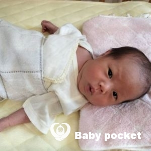 サクラちゃんをお迎えしました!