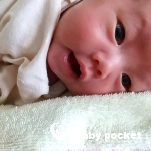 サクラちゃんをお迎えしました!