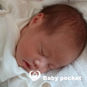 サクラちゃんをお迎えしました!