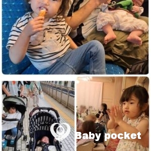 せんかちゃん1歳11ヵ月のご報告