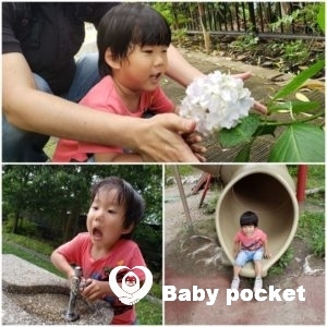 ルターくんが3歳3ヵ月になりました。