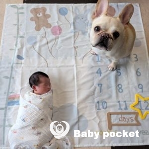 ポーター君をお迎えしました!