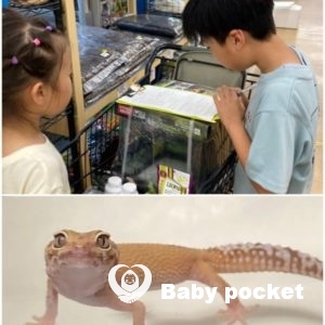 おかわり君9歳のご報告