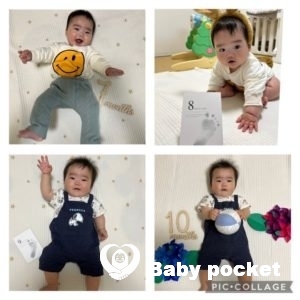 ペガサスくん、入籍しました