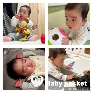 ペガサスくん、入籍しました