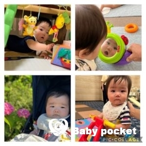 ペガサスくん、入籍しました