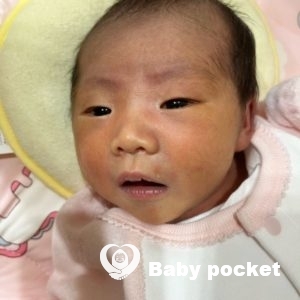 サマーちゃんをお迎えしました