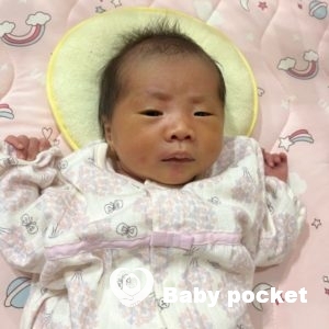 サマーちゃんをお迎えしました