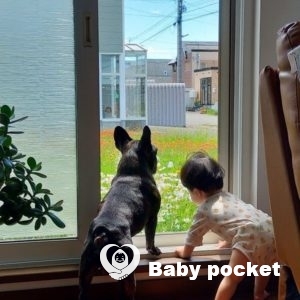 クラゲくん お迎え5か月半の近況報告