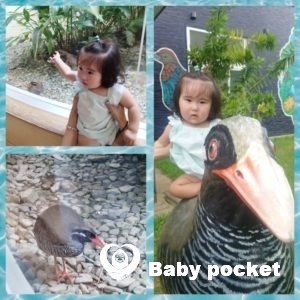 アリエルちゃん1歳を迎えました!