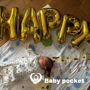 流星くんをお迎えしました