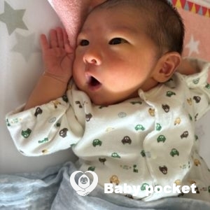 流星くんをお迎えしました