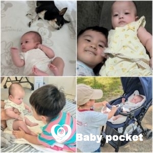 ひまちゃん　お食い初めと近況のご報告