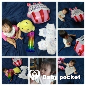 キイロイヒメちゃん 1歳の誕生日を迎えました!