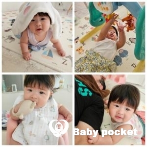 ナラちゃんハーフバースデーを迎えました