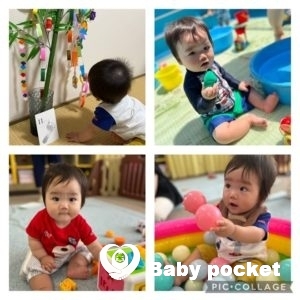 ペガサスくん、1歳になりました。