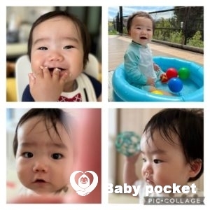 ペガサスくん、1歳になりました。