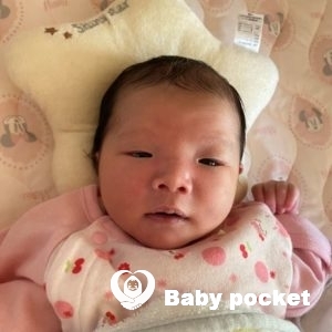 かわせみちゃんをお迎えしました