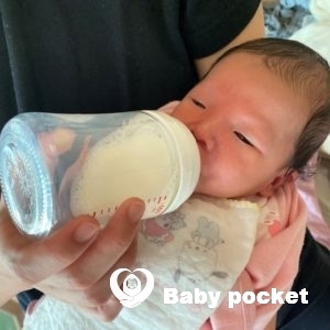 かわせみちゃんをお迎えしました