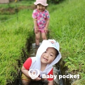 はつまるくん 1歳を迎えました