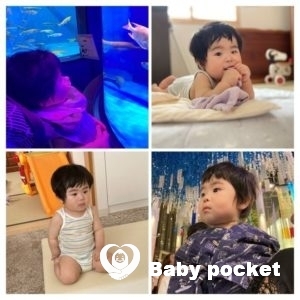 ソダシ君1歳になりました