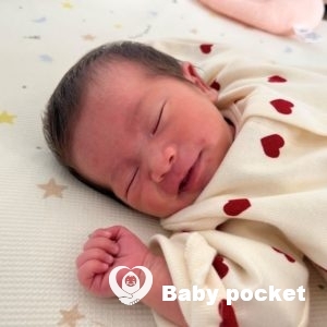 ハウピアちゃんをお迎えしました!