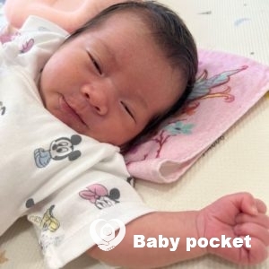 ハウピアちゃんをお迎えしました!