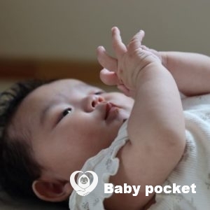 こまちちゃん100日を迎えました