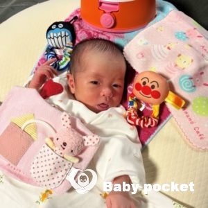 リンクちゃんをお迎えしました