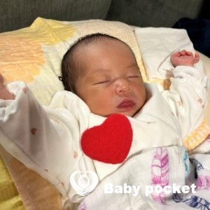 リンクちゃんをお迎えしました