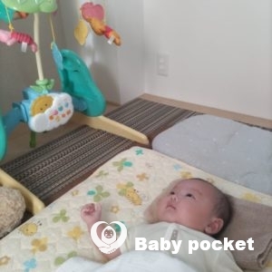 若葉ちゃん２．３．４ヶ月のご報告